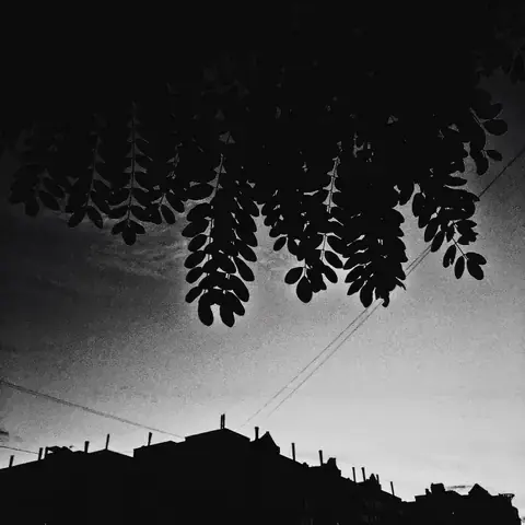 Photograph from Alexey’s personal archive