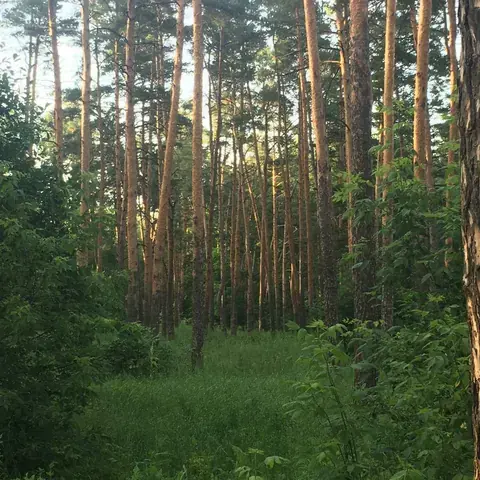 Photograph from Alexey’s personal archive