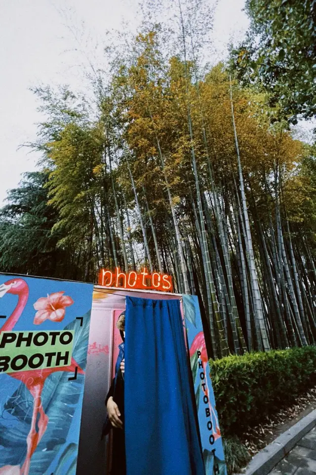 A colourful photo booth at the edge of a bamboo grove